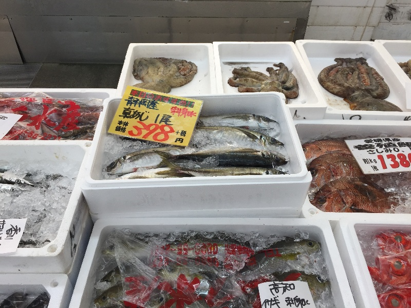 8月21日鮮魚おすすめ 新鮮情報 四十瀬球場前店 香川 岡山のスーパー 新鮮市場きむら