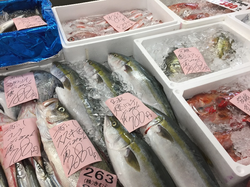 9月6日鮮魚おすすめ 新鮮情報 四十瀬球場前店 香川 岡山のスーパー 新鮮市場きむら