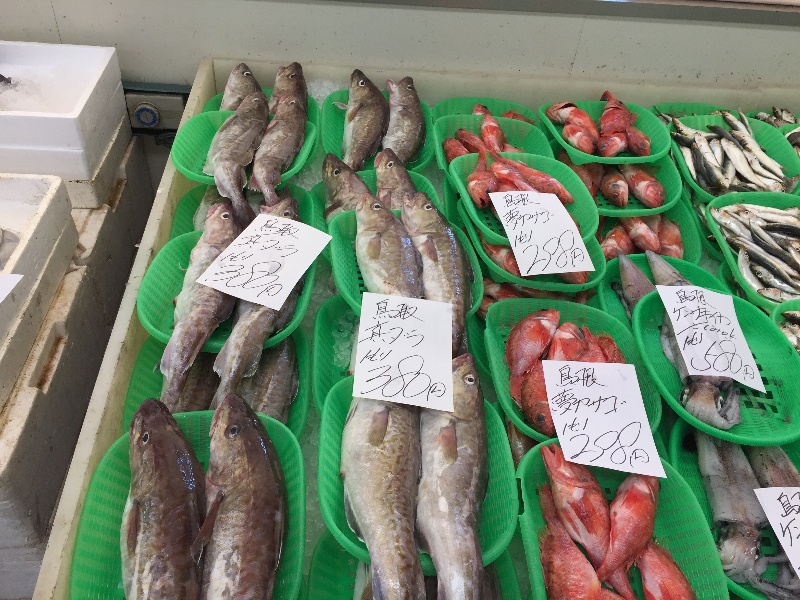 10月31日鮮魚おすすめ 新鮮情報 四十瀬球場前店 香川 岡山のスーパー 新鮮市場きむら
