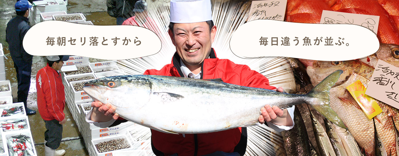 毎朝セリ落とすから、毎日違う魚が並ぶ。